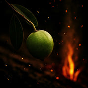 ATSY – 1 x Tattoo Oil  Fire Forged Formula