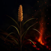 ATSY – 5 x Tattoo Oil Survival Pack